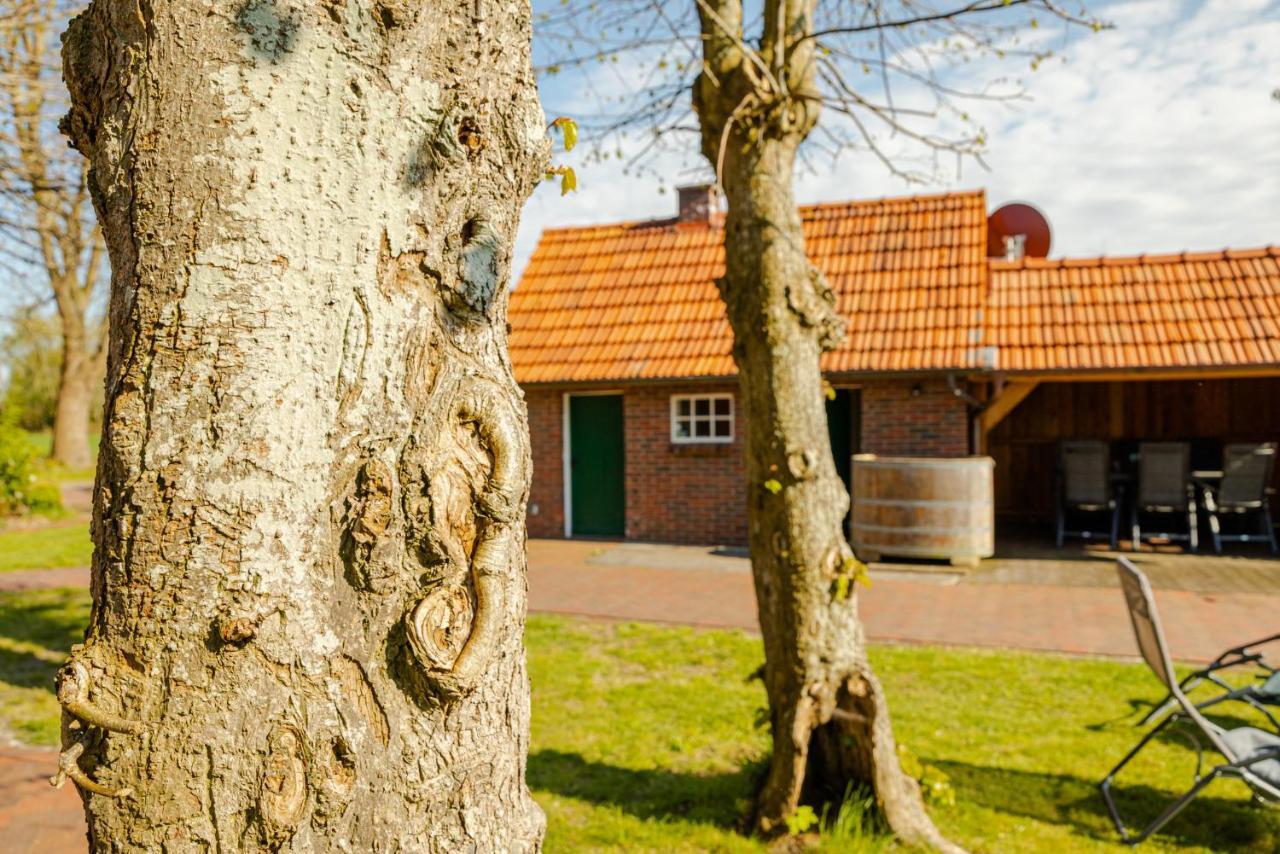 Reetdach Ostfriesenhaus Villa Sudbrookmerland ภายนอก รูปภาพ